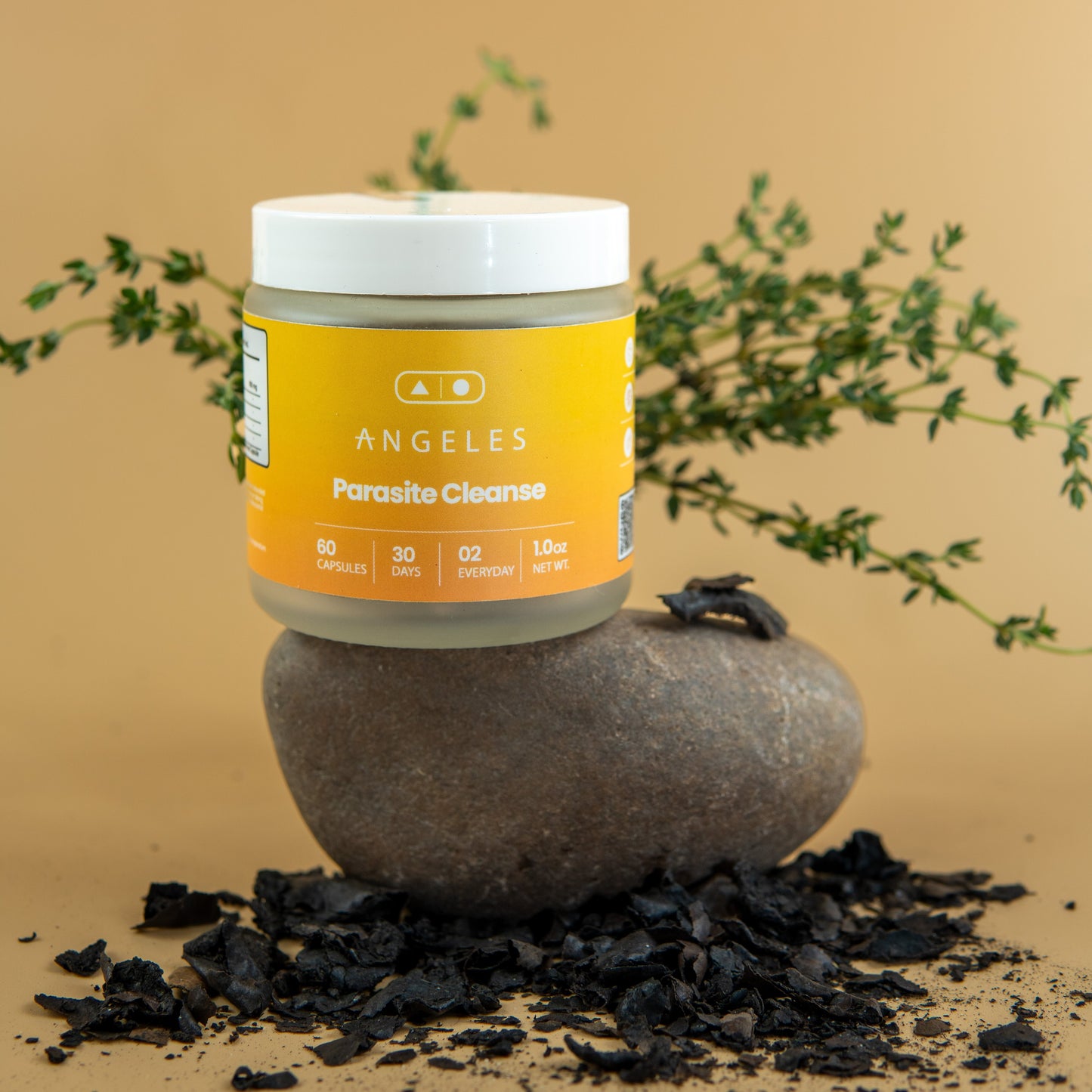 Parasite Cleanse by Angeles Wellness
