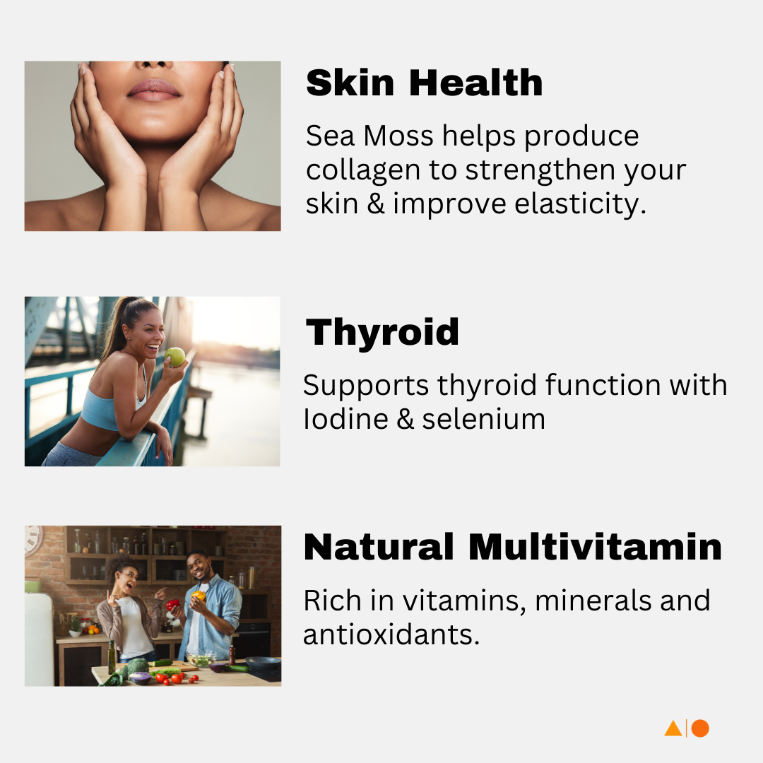 Sea Moss & Bladderwrack