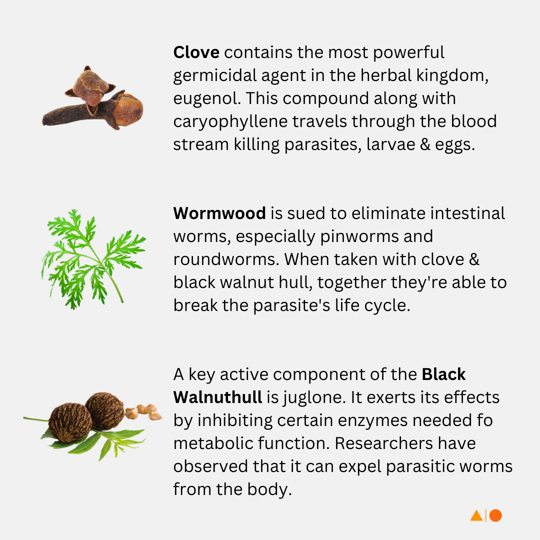 Gut Cleanse: Colon and Parasite Cleanse