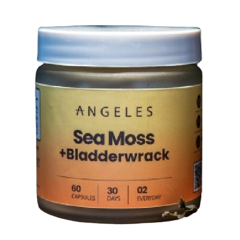 Sea Moss & Bladderwrack